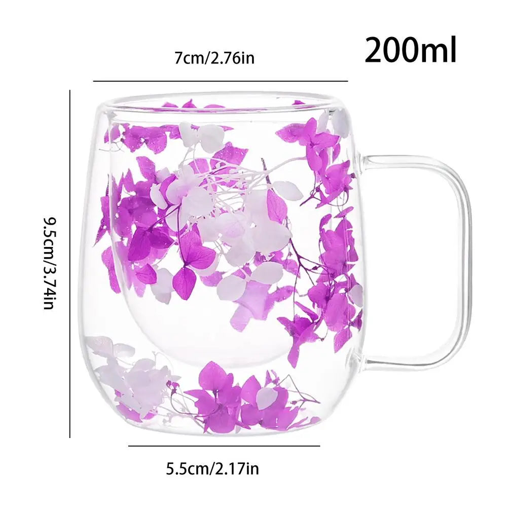 πΈ Double Wall Glass Cup 200ml β Clear Dried Flower Coffee & Tea Mug with Handle