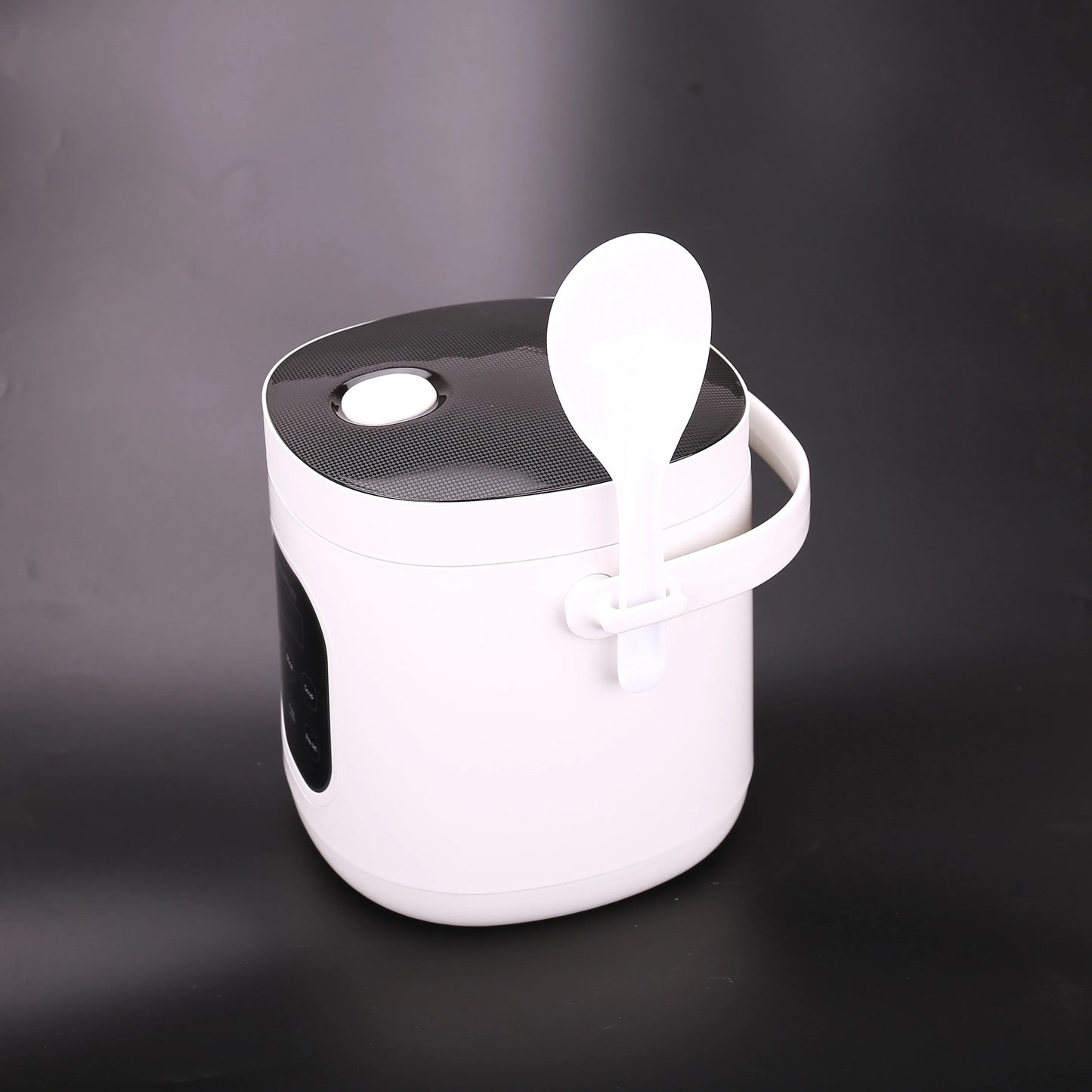 Portable Electric Rice Cooker – Dual Voltage 12V/24V/220V for Car, Truck & Home Use