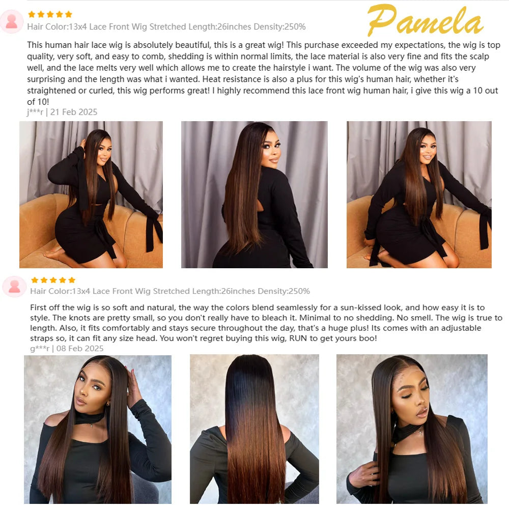 Double Drawn 13x6 HD Lace Frontal Bone Straight Ombre Brown Glueless Human Hair Wig