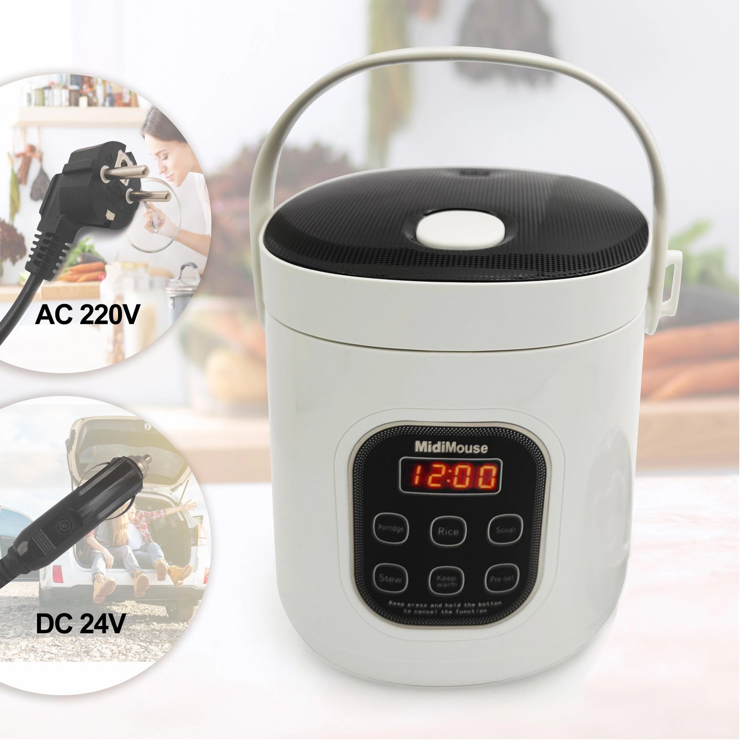 Portable Electric Rice Cooker – Dual Voltage 12V/24V/220V for Car, Truck & Home Use