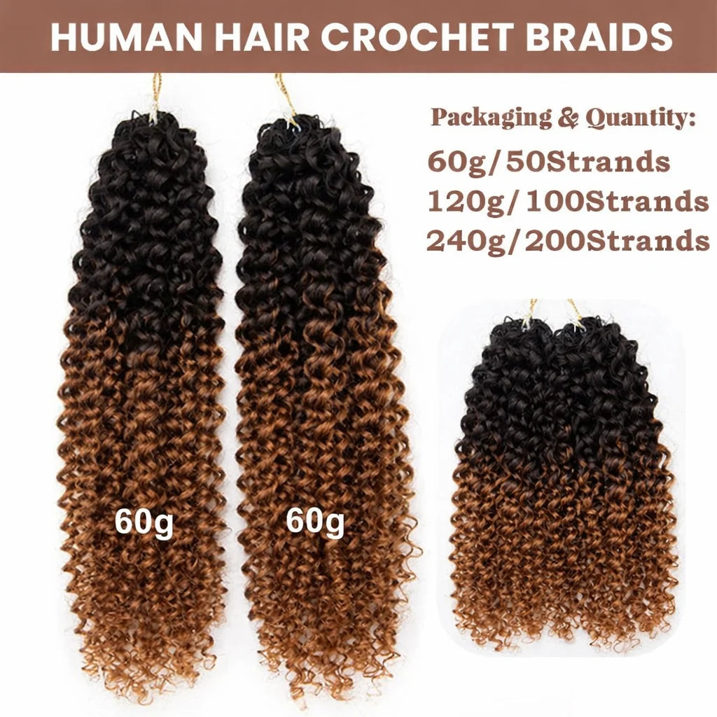 T1B/30 Kinky Curly Crochet Hair Extensions – Virgin Human Hair Knotless Pre-Separated Miracle Knot Braids