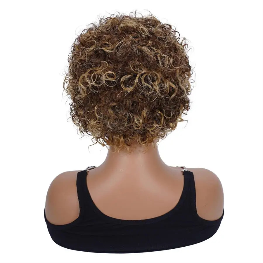 13x1 Pixie Cut Kinky Curly Lace Front Human Hair Wig (Peruvian, Short 4–16")