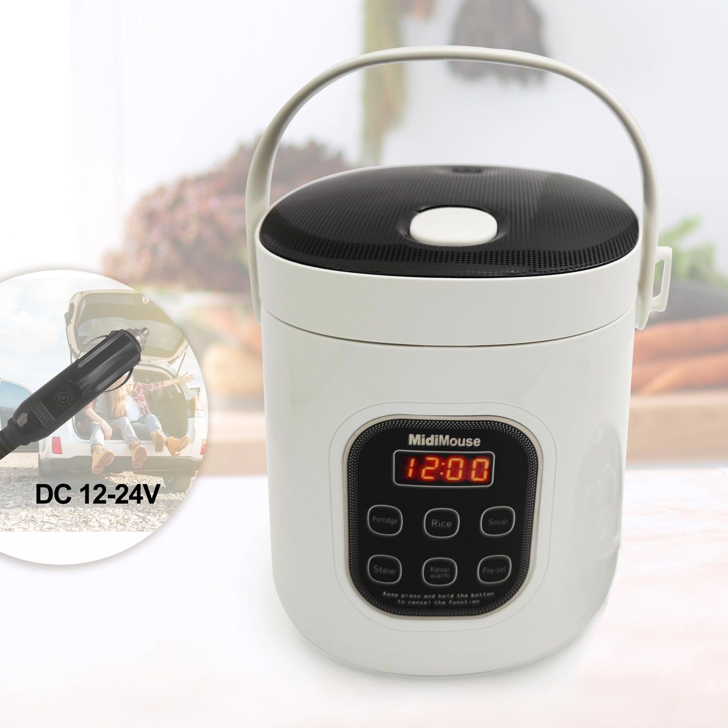 Portable Electric Rice Cooker – Dual Voltage 12V/24V/220V for Car, Truck & Home Use