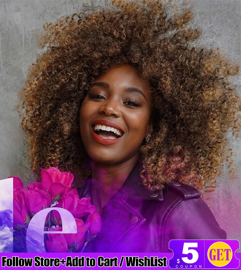 Latisha 13x6 Lace Front Wig – Curly Highlight Synthetic Wig with Baby Hair, 24 Inch Heat-Resistant Fiber