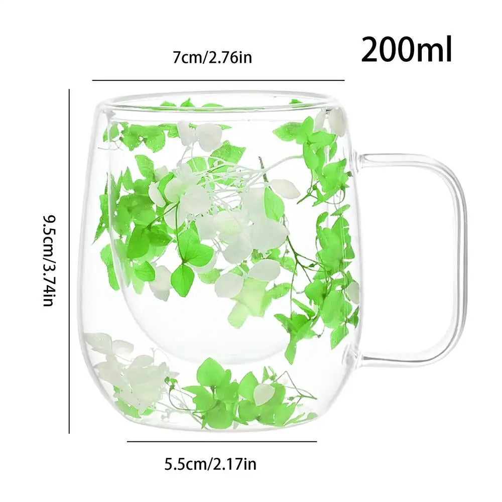 🌸 Double Wall Glass Cup 200ml – Clear Dried Flower Coffee & Tea Mug with Handle